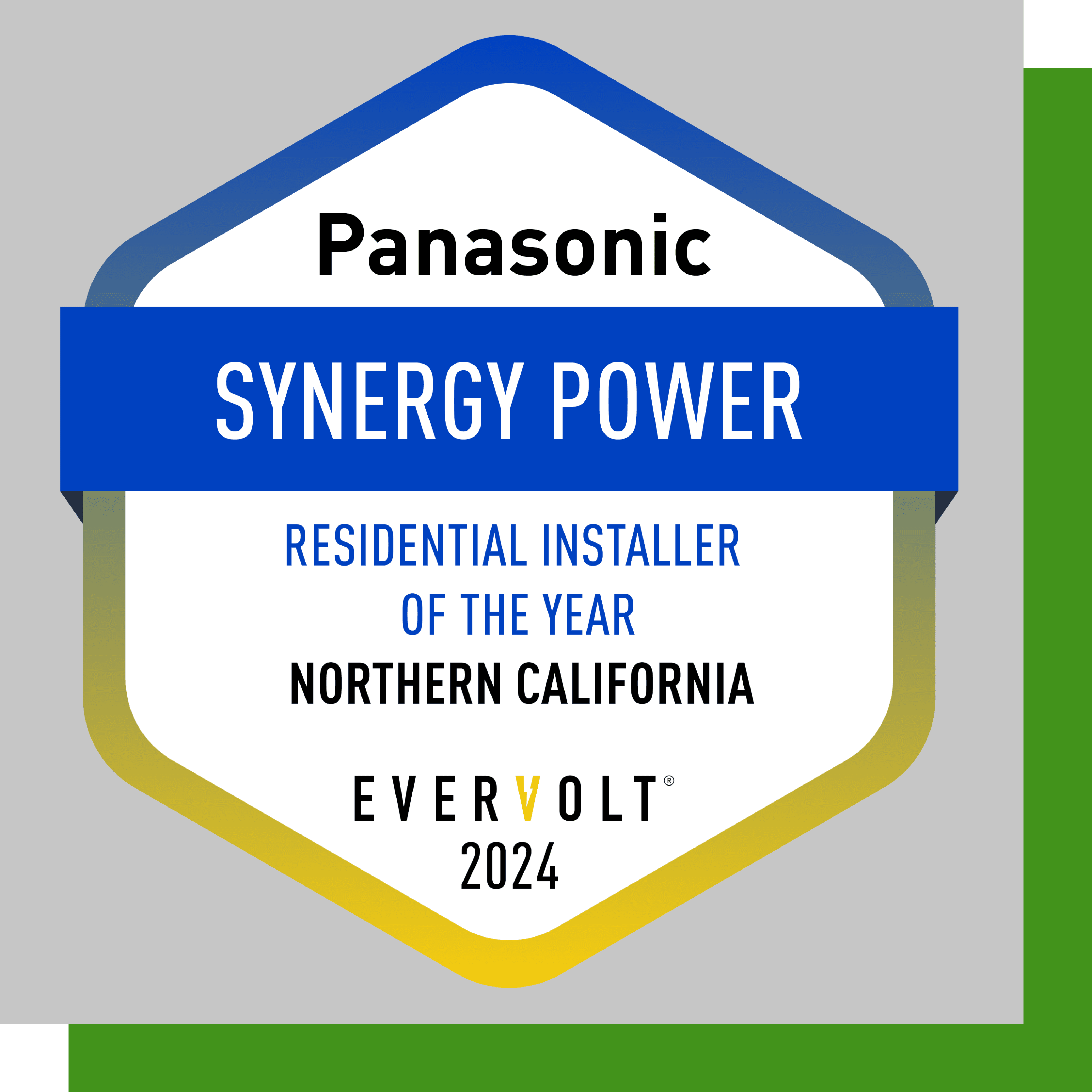 Panasonic 2024 Badge